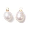 Natural Freshwater Pearl Rice Charms PALLOY-JF04858-02-1