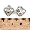 304 Stainless Steel Charms STAS-L303-13P-3