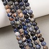 Natural Sodalite Beads Strands G-D481-12A-5