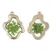 Epoxy Resin Pendants RESI-T045-028B-3