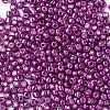 6/0 Glass Seed Beads SEED-A017-4mm-1116-2