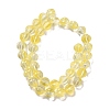 Transparent Glass Beads Strands GLAA-F114-02B-03-2
