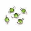 304 Stainless Steel with Glass Connector Charms STAS-G305-08P-01-3