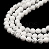 Natural Howlite Beads Strands G-E608-A01-C-4