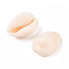 Cowrie Shell Pendants PTS057Y-2