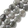 Natural Labradorite Beads Strands G-P528-L03-01-1