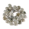 Natural Labradorite Bead Strands LS-G-C116-A10-01-3