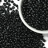 Glass Seed Beads SEED-YW0002-88A-02-1