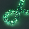 Handmade Luminous Lampwork Beads Strands LAMP-N037-01H-5