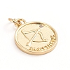 Brass Micro Pave Cubic Zirconia Pendants ZIRC-E164-34F-G-1