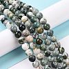Natural Tree Agate Beads Strands G-K194-10mm-02-7