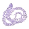 Transparent Glass Beads Strands GLAA-P060-01C-20-2