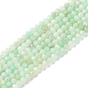 Natural Chrysoprase Beads Strands G-P542-A04-02-1