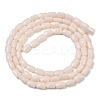 Opaque Glass Beads Strands GLAA-Z018-D18-2