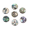 Natural Paua Shell Donut/Pi Disc Charms SHEL-T020-11-1
