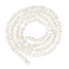 1 Strand Natural Trochus Shell Rondelle Beads Strands SSHEL-TA0001-16A-1