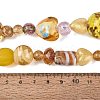 Handmade Foil Glass with Gold Sand Lampwork Beads Strands FOIL-Q002-08G-4