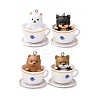 Opaque Resin Pendants RESI-K048-07A-1