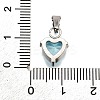 304 Stainless Steel Micro Pave Cubic Zirconia Pendants STAS-B086-13P-03-3