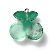 Transparent Resin Pendants RESI-D055-055P-3