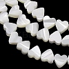 Natural Trochid Shell/Trochus Shell Beads Strands SH-CBA2978-10-2