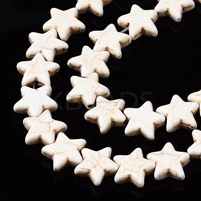 Gemstone Beads TURQ-S193-15x14mm-1-1