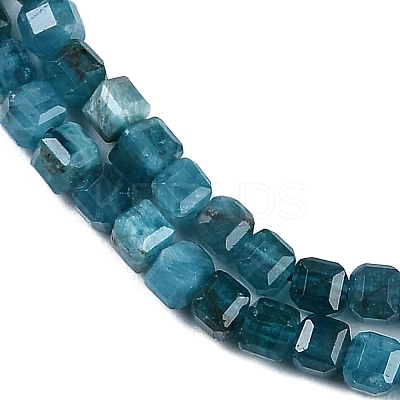 Natural Apatite Beads Strands G-P553-E03-02-1