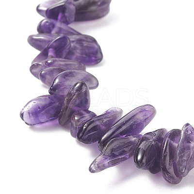 Natural Amethyst Chip Beaded Necklace NJEW-JN03824-03-1