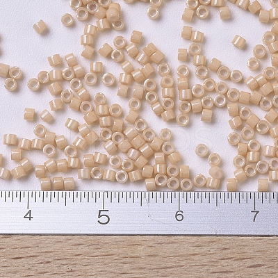 MIYUKI Delica Beads SEED-X0054-DB0208-1