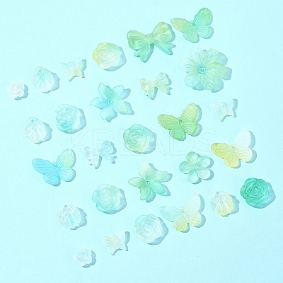 60G Transparent Acrylic Beads OACR-FS0001-90C-1