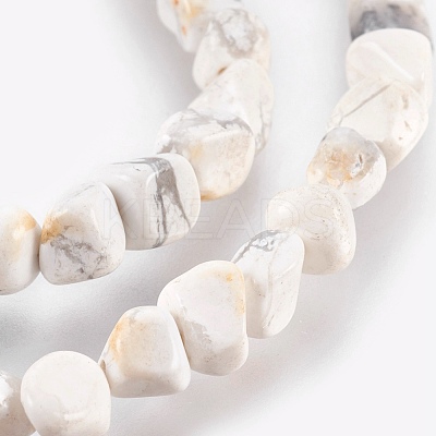 Natural Howlite Chips Beads Strands G365-34-1