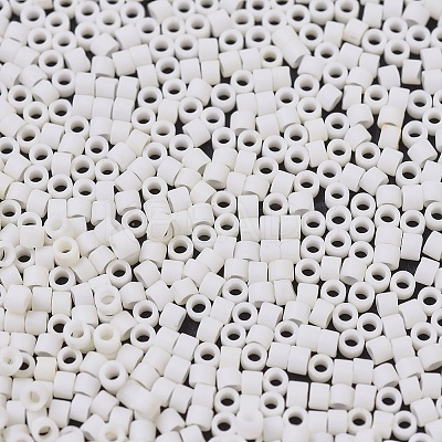 MIYUKI Delica Beads LS-X-SEED-J020-DB0352-1