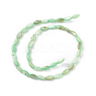 Natural Freshwater Shell Dyed Beads Strands SHEL-M018-13-03-1
