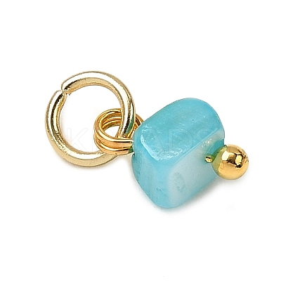 Dyed Natural Freshwater Shell Nuggets Charms PALLOY-JF04375-01-1