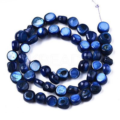 Natural Freshwater Shell Beads Strands SHEL-S276-110B-02-1