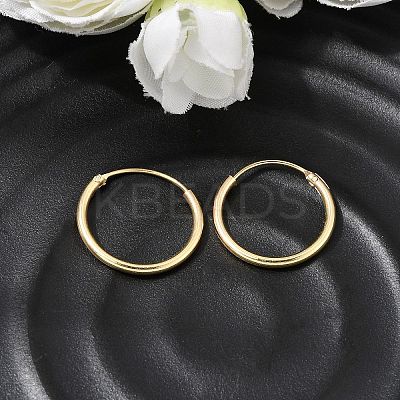 Brass Hoop Earrings EJEW-G474-01G-02-1