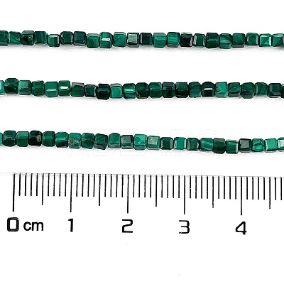 Natural Malachite Beads Strands G-C009-B24-01-1