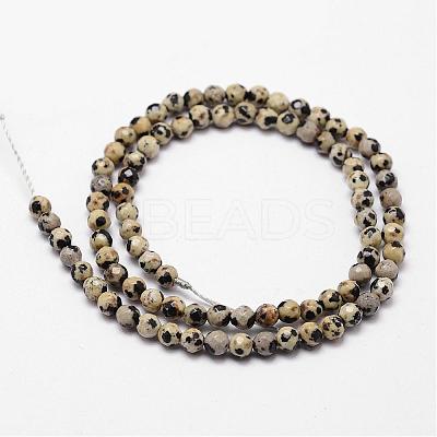 Natural Dalmatian Jasper Beads Strands G-D840-49-4mm-1