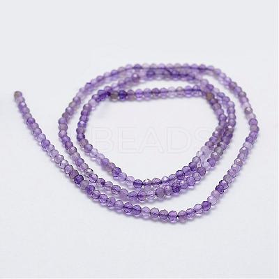 Natural Amethyst Bead Strands G-G663-17-2mm-1