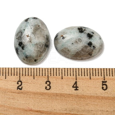 Natural Sesame Jasper Cabochons G-C115-01A-29-1