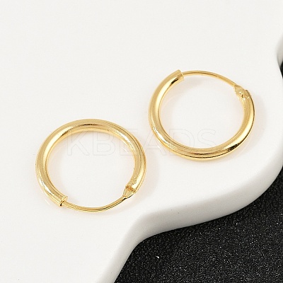 Brass Hoop Earrings EJEW-F378-02G-1