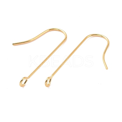 316 Surgical Stainless Steel Earring Hooks LS-X-STAS-E027-01B-G-1