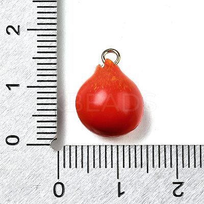 Brass Acrylic Pendants OACR-R006-04G-04-1