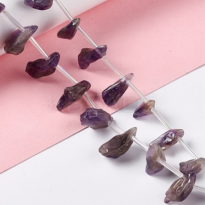 Natural Amethyst Beads Strands G-I329-02-1