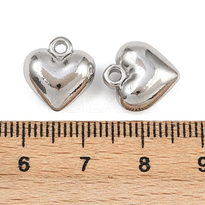 304 Stainless Steel Charms STAS-L303-13P-1
