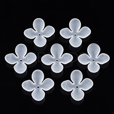 Transparent Acrylic Beads FACR-N005-003-1