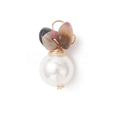6Pcs 6 Styles Natural Tourmaline & Tiger Eye & Amethyst & Green Aventurine & Sunstone & Aquamarine Chip with Copper Wire Wrapped Shell Pearl Pendants PALLOY-JF04951-1