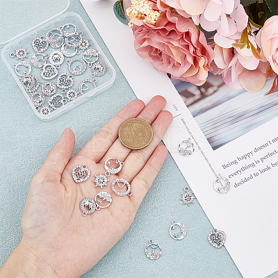 36Pcs 6 Style Alloy Rhinestone Charms ALRI-FH0001-18-1
