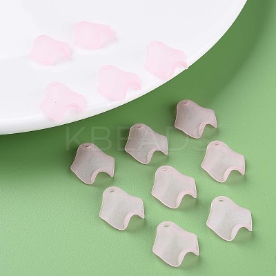 Transparent Acrylic Beads LS-X-MACR-S373-106-D05-1