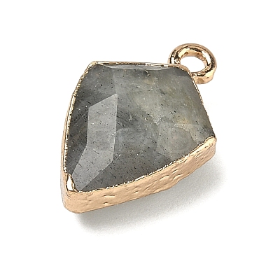 Natural Labradorite Pendants G-K422-01G-14-1